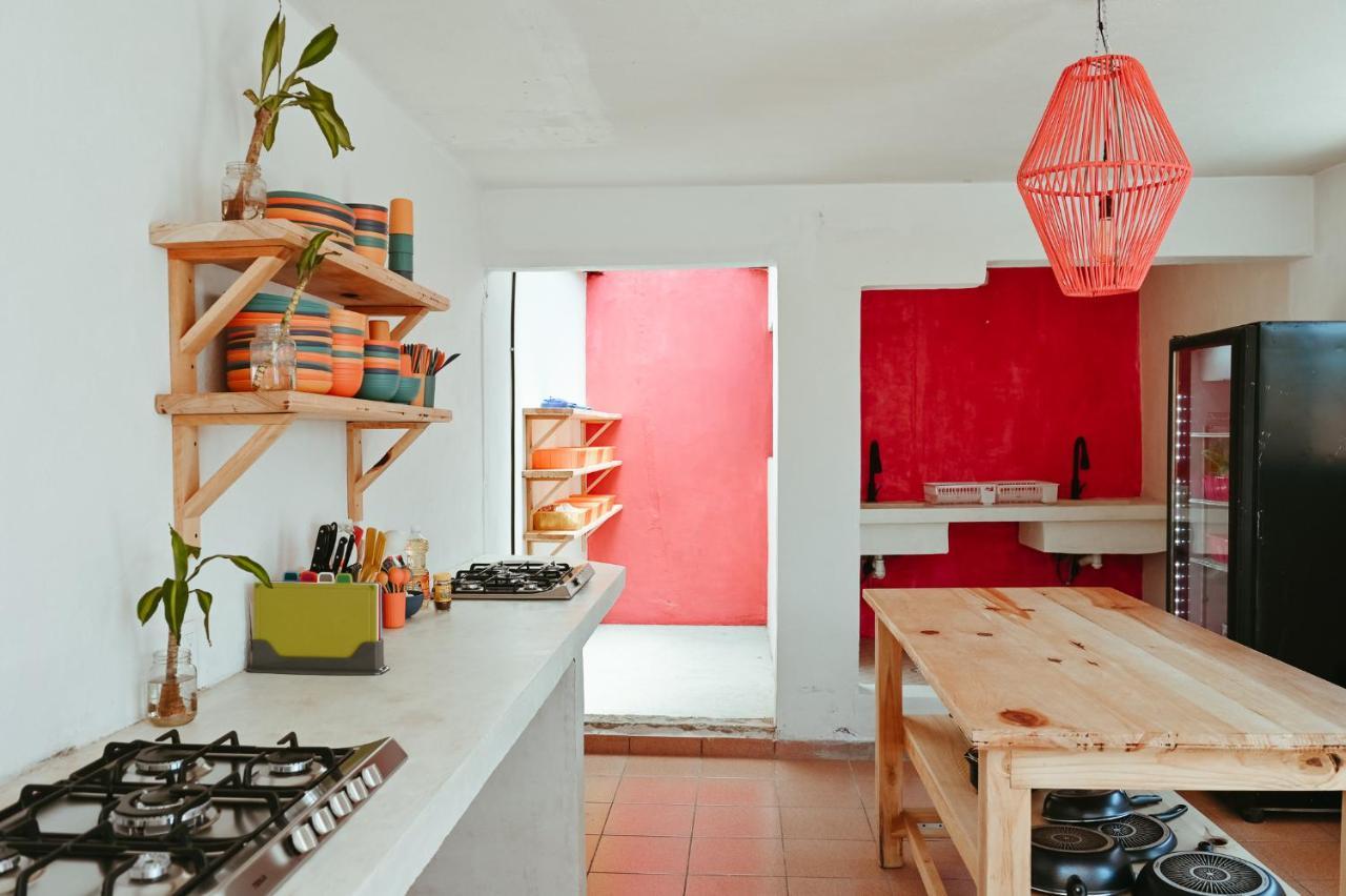 Maka Hostel Oaxaca ภายนอก รูปภาพ